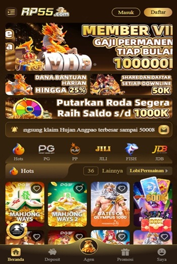 RP55 screenshot 4
