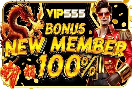 Vip555 screenshot 3