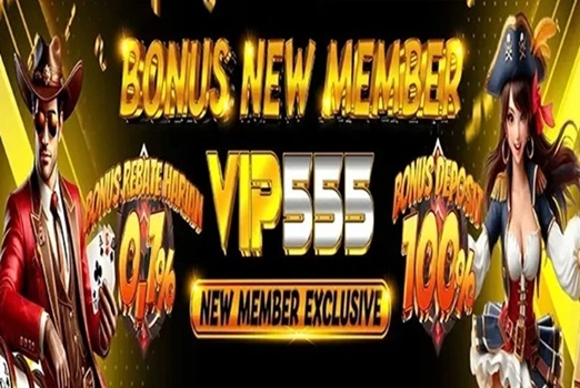 Vip555 screenshot 2