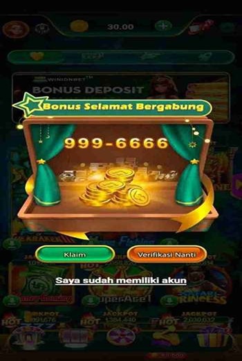 WIN IDN screenshot 4
